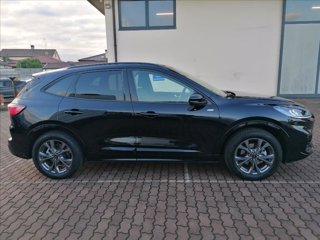 FORD Kuga 2.5 full hybrid ST-Line 2wd 190cv cvt