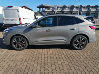FORD Kuga 2.5 full hybrid ST-Line 2wd 190cv cvt