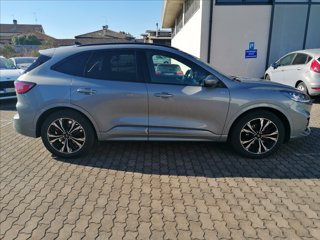 FORD Kuga 2.5 full hybrid ST-Line 2wd 190cv cvt